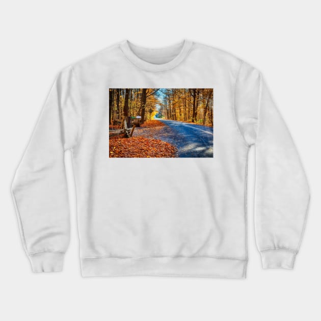 Fall Road 4 Crewneck Sweatshirt by Robert Alsop